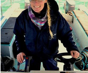 Great White Sharks scarcity in Gansbaai